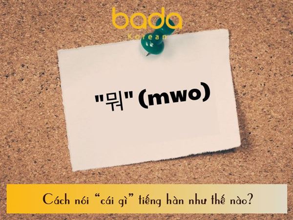 Cách nói “cái gì” tiếng hàn như thế nào? Tìm hiểu các từ để hỏi khi học tiếng hàn