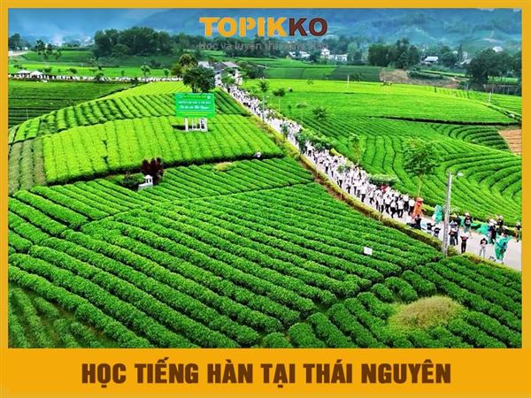 Trung tâm học tiếng Hàn tại Thái Nguyên