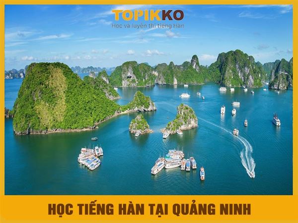 Trung tâm học tiếng Hàn tại Quảng Ninh