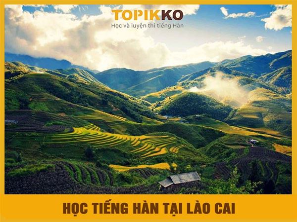Trung tâm học tiếng Hàn tại Lào Cai
