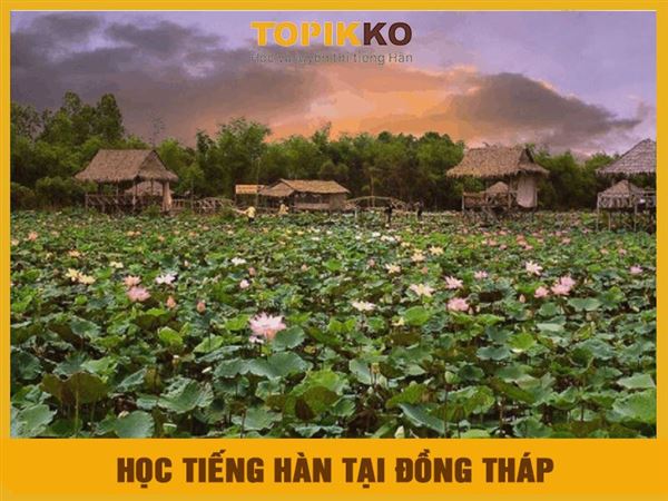 Trung tâm học tiếng Hàn tại Đồng Tháp