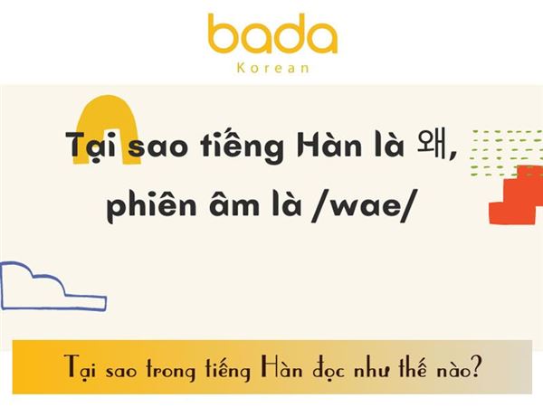 Tại sao tiếng Hàn đọc như nào? Các từ để hỏi trong tiếng Hàn phổ biến